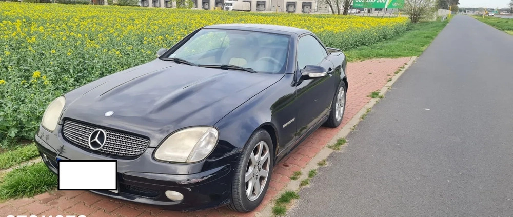 Mercedes-Benz SLK cena 12500 przebieg: 270610, rok produkcji 2001 z Zawiercie małe 79